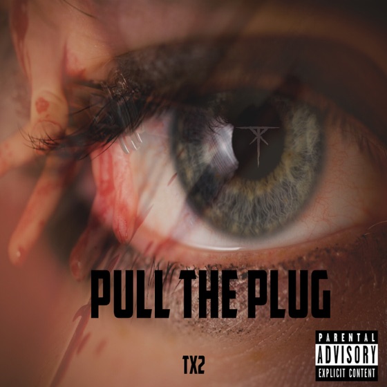 Cover artwork for Pull the Plug