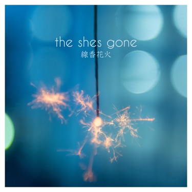 甘い記憶 The Shes Gone Shazam