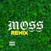Moss (feat. Suicideyear) [Remix] artwork