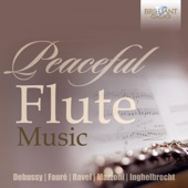 Peaceful Flute Music artwork