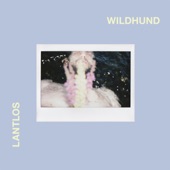 Wildhund (Deluxe Edition) artwork
