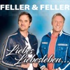 Liebes Liebesleben (Radio Version) - Single, 2018