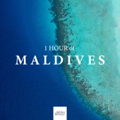 1 HOUR of Maldives: The Best Relaxing Asian Music artwork