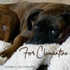 For Clementine - Single