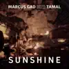 Sunshine - Single album lyrics, reviews, download