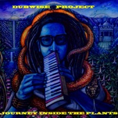 Dubwise Project - Master of the Tobacco