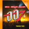 Brega Arrocha Melody, Vol. 22