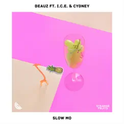 Slow Mo - Single by BEAUZ, Ice & Cydney album reviews, ratings, credits