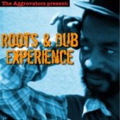 Roots & Dub Experience artwork
