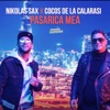 Pasarica Mea - Single