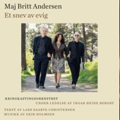 Et snev av evig (feat. Norwegian Radio Orchestra & Ingar Bergby) artwork