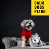 Calm Dogs Piano