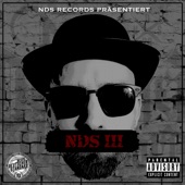 NDS 3 (feat. Primus NDS & Proto NDS) artwork
