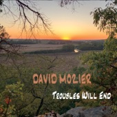 David Mozier - Fish Gonna Swim