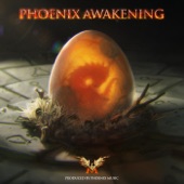 Phoenix Awakening artwork