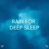 !!!" Rain for Deep Sleep "!!! album lyrics, reviews, download