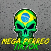 Mega Perreo TikTok artwork