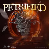 Petrified artwork