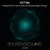 417 Hz Healing Music for Sacral Chakra & Cleansing Negative Energy album lyrics, reviews, download