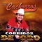 Anastacio Pacheco - Los Cachorros de Juan Villarreal lyrics