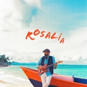 Rosalía (Live) artwork