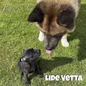 Lide Vetta artwork