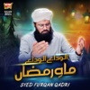 Alvida Alvida Mah E Ramzan - Single