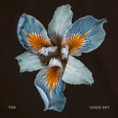 Oasis Sky by TOR album reviews, ratings, credits