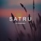 Satru artwork