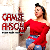 Nerde Yedin Paraları - Gamze Aksoy