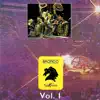 Bronco En La Plaza México, Vol. 1 (En Vivo) album lyrics, reviews, download