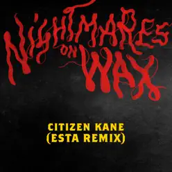 Citizen Kane (Esta. Remix) [feat. Mozez] - Single - Nightmares on Wax