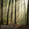 Relaxing Sounds of Nature - The Pure Meditation Album - Calmsound