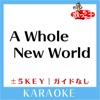 A Whole New World(ガイド無しカラオケ)[原曲歌手:Peabo Bryson & Regina Belle]