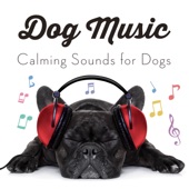 Dog Music: Calming Songs for Dogs (feat. Music for Dog's Ears) artwork