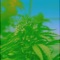 Bouquet of Flowers (feat. Yzin Blaze) - VDMR lyrics