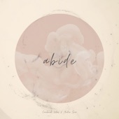 Abide (feat. Canberk Ulaş) artwork