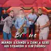 Stream & download Bisous (feat. Adi Sybardhi & Ilir Tironsi & Landi & Zani & Geri) - Single