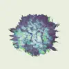 Falling (Whethan Redo) - Single album lyrics, reviews, download