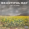 Beautiful Day (feat. V Ì T Â) artwork