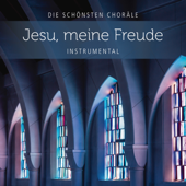 Jesus bleibet meine Freude - Jochen Rieger