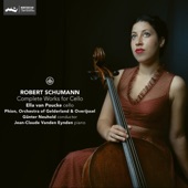 Robert Schumann: Complete Works for Cello artwork
