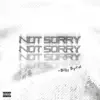 Not Sorry - Single album lyrics, reviews, download