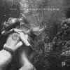 Last Dance (feat. Imogen Rose) - Single album lyrics, reviews, download