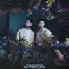 Butterflies (Snakehips Remix) - Single album lyrics, reviews, download