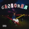 Gangorra - Single