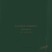 Sacred Forest (feat. Tchella) artwork