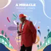 A Miracle (feat. Steve Ferrone) - Single album lyrics, reviews, download