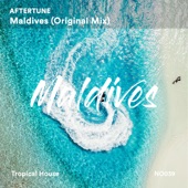 Maldives (Bonus Track) artwork