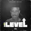 Stream & download Next Level - Single